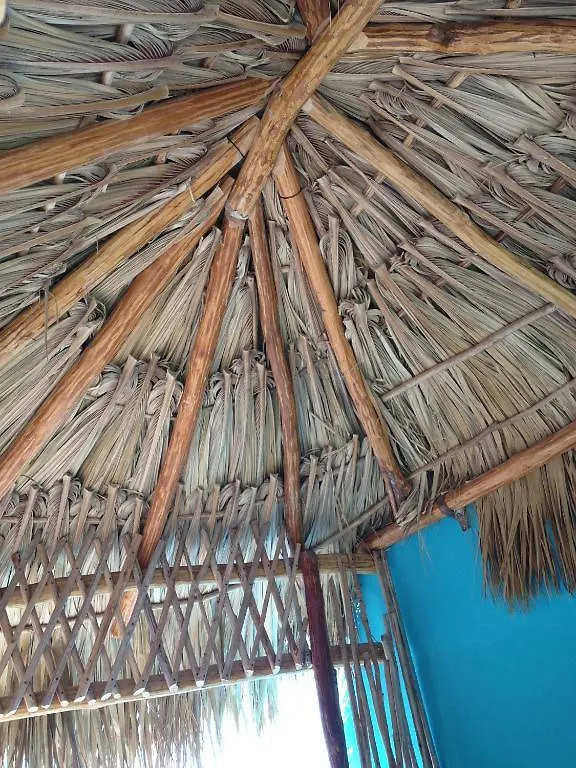 Del Pirata B&B-Holbox